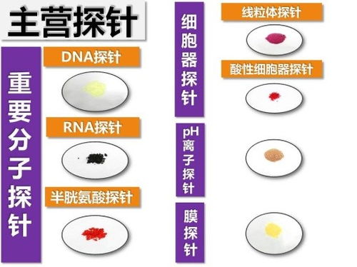 生物醫(yī)藥技術(shù)聯(lián)合實(shí)驗(yàn)室 推動(dòng)醫(yī)藥技術(shù)創(chuàng)新的重要平臺